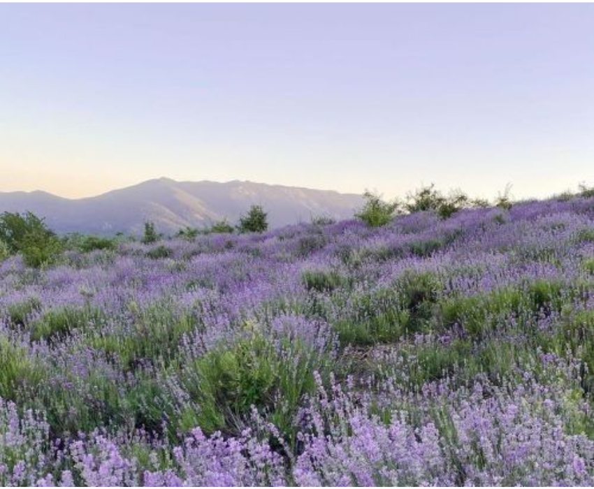  TÂN CƯƠNG 9N8Đ | BAY AIR CHINA 