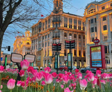  THƯỢNG HẢI – Ô TRẤN – HÀNG CHÂU – BẮC KINH 7N6Đ | BAY VIETNAM AIRLINES 