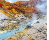  BẮC HẢI ĐẢO – HOKKAIDO MÙA THU: CHITOSE – OTARU – FURANO – SAPPORO 6N5Đ | BAY SHENZHEN AIRLINES 