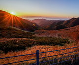  BẮC HẢI ĐẢO – HOKKAIDO MÙA THU: CHITOSE – OTARU – FURANO – SAPPORO 6N5Đ | BAY SHENZHEN AIRLINES 