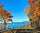  BẮC HẢI ĐẢO – HOKKAIDO MÙA THU: CHITOSE – OTARU – FURANO – SAPPORO 6N5Đ | BAY SHENZHEN AIRLINES 