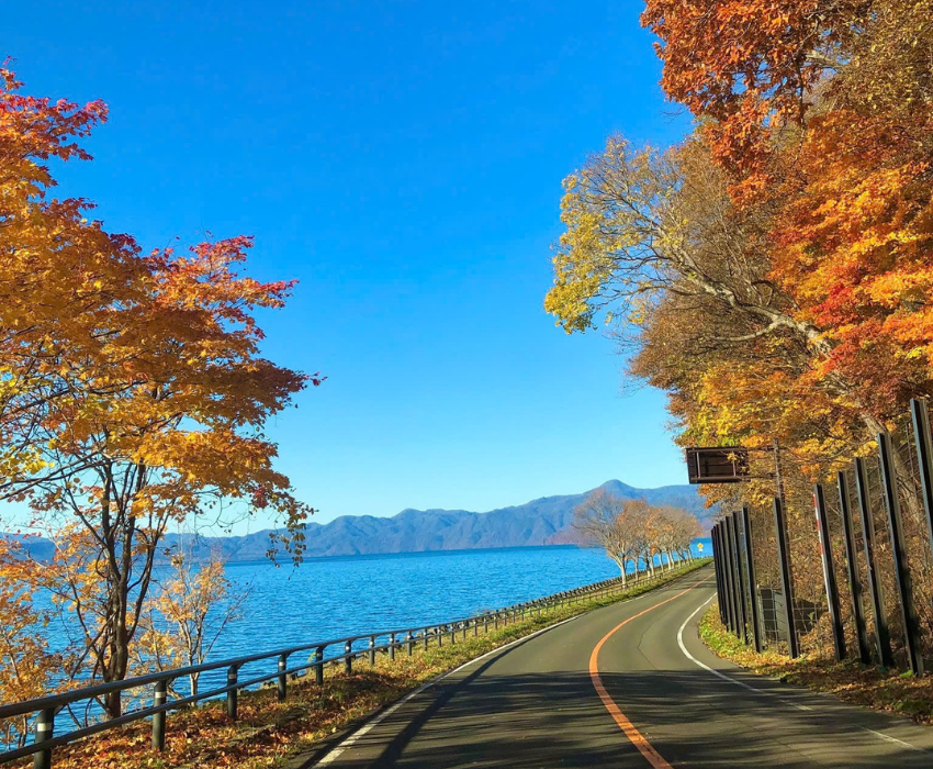  BẮC HẢI ĐẢO – HOKKAIDO MÙA THU: CHITOSE – OTARU – FURANO – SAPPORO 6N5Đ | BAY SHENZHEN AIRLINES 