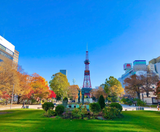  BẮC HẢI ĐẢO – HOKKAIDO MÙA THU: CHITOSE – OTARU – FURANO – SAPPORO 6N5Đ | BAY SHENZHEN AIRLINES 