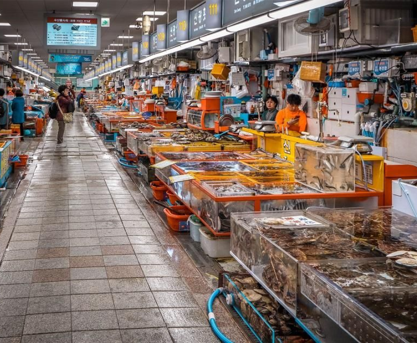  BUSAN – DAEGU – SEOUL 5N5Đ | BAY VIETNAM AIRLINES 