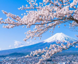  CUNG ĐƯỜNG VÀNG - SHIRAKAWAGO 6N5Đ | JAPAN AIRLINES 