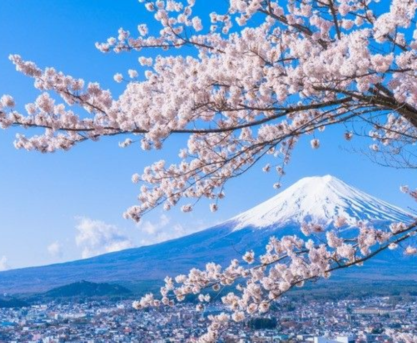  CUNG ĐƯỜNG VÀNG - SHIRAKAWAGO 6N5Đ | JAPAN AIRLINES 