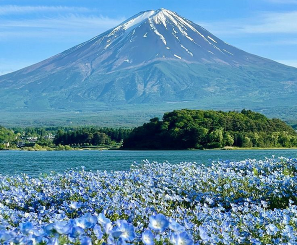  FUJI-Q - CUNG ĐƯỜNG VÀNG: OSAKA–KOBE–KYOTO–TOKYO–FUJI–NARITA 6N5Đ | BAY VIETNAM AIRLINES 