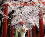  CUNG ĐƯỜNG VÀNG 6N5Đ  | BAY VIETNAM AIRLINES 