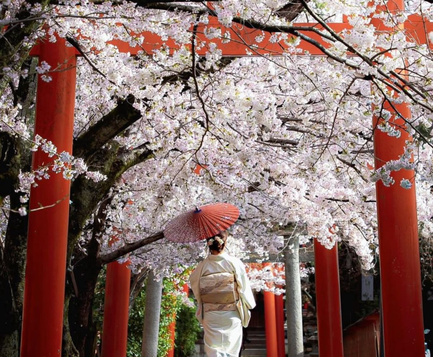  CUNG ĐƯỜNG VÀNG 6N5Đ  | BAY VIETNAM AIRLINES 