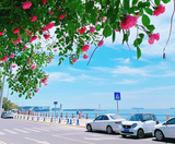  SƠN ĐÔNG – THANH ĐẢO  BẮC KINH – VẠN LÝ TRƯỜNG THÀNH 5N5Đ | BAY AIR CHINA 