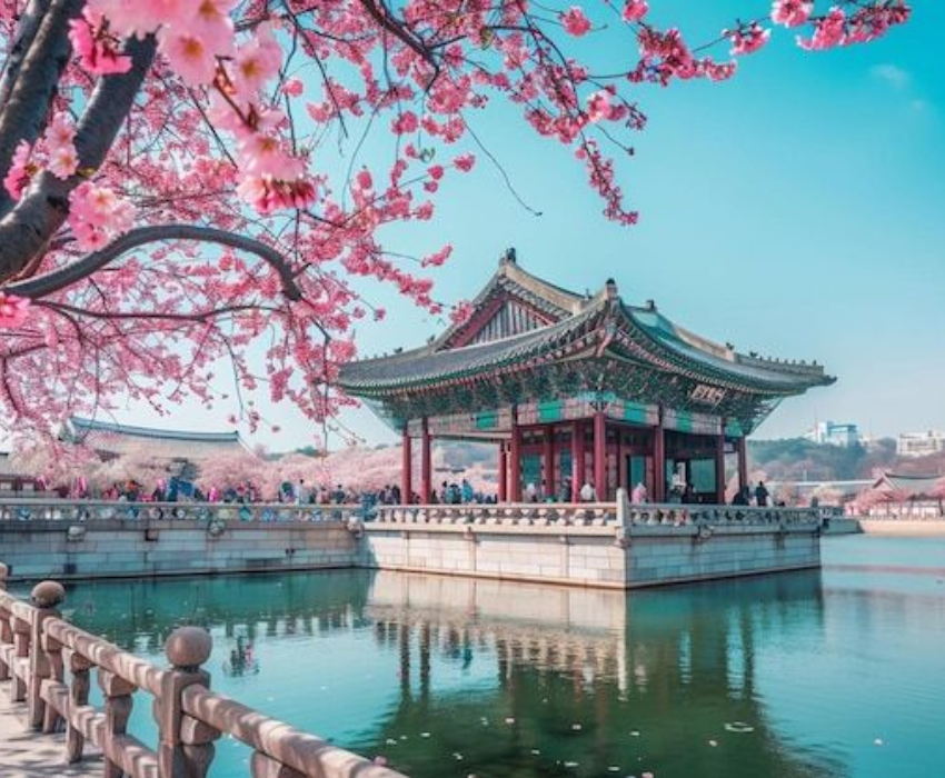  SEOUL – NAMI – LOTTE WORLD – LOTTE AQUARIUM 4N3Đ | BAY VIETNAM AIRLINES 