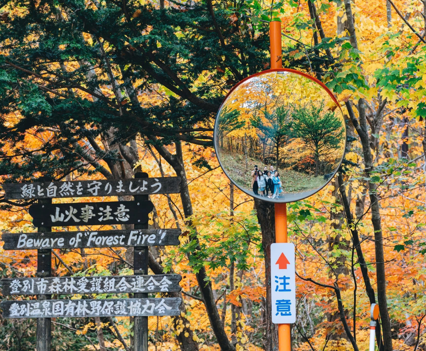  BẮC HẢI ĐẢO – HOKKAIDO MÙA THU: CHITOSE – OTARU – FURANO – SAPPORO 6N5Đ | BAY SHENZHEN AIRLINES 