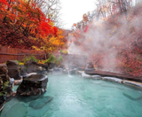  BẮC HẢI ĐẢO – HOKKAIDO MÙA THU: CHITOSE – OTARU – FURANO – SAPPORO 6N5Đ | BAY SHENZHEN AIRLINES 