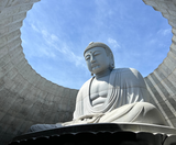  BẮC HẢI ĐẢO – HOKKAIDO MÙA THU: CHITOSE – OTARU – FURANO – SAPPORO 6N5Đ | BAY SHENZHEN AIRLINES 