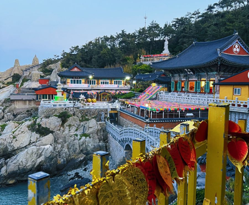  BUSAN – SEOUL – LOTTE WORLD 5N5Đ | BAY VIETNAM AIRLINES 