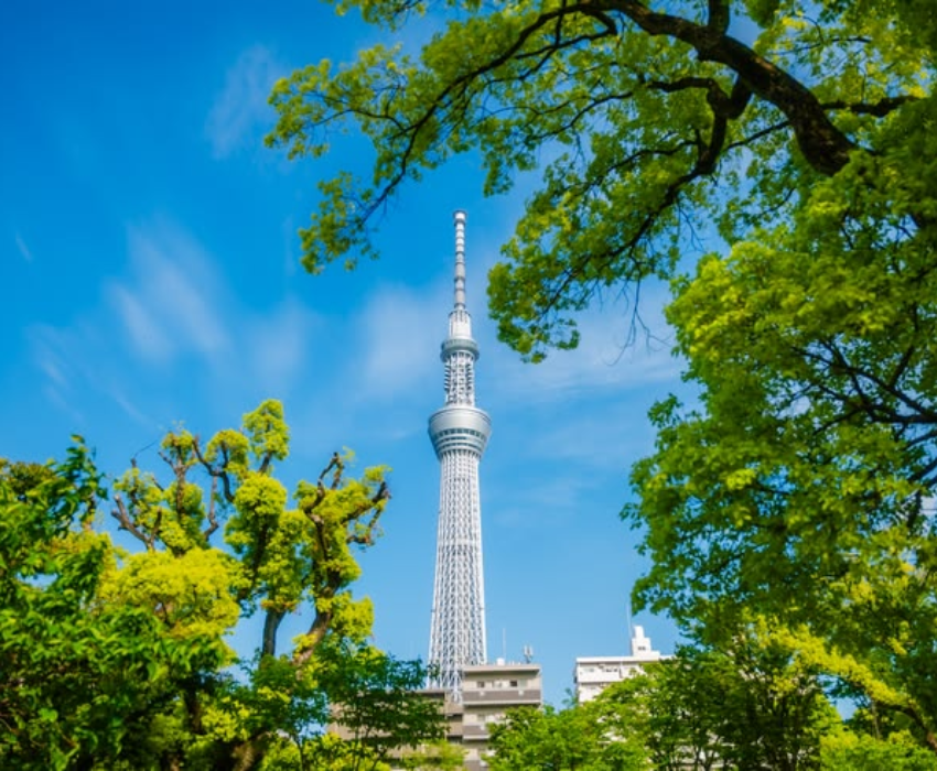 NAGOYA–OSAKA–KYOTO–FUJI–TOKYO–NARITA 5N4Đ  | BAY VIETNAM AIRLINES 