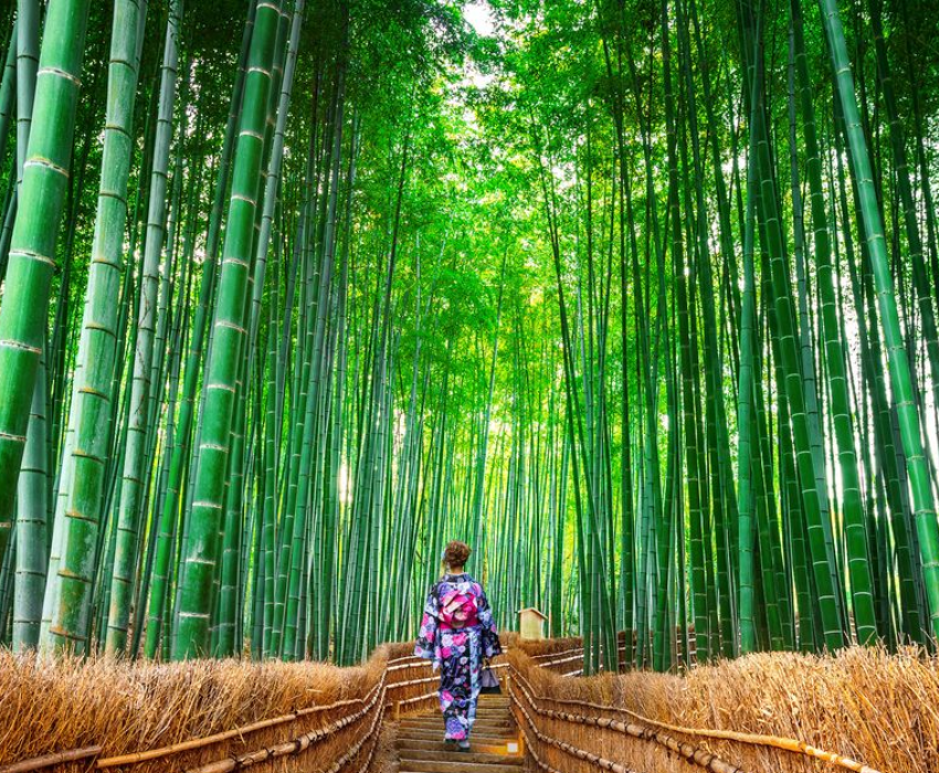  SHIRAKAWAGO - CUNG ĐƯỜNG VÀNG - OSAKA – GIFU – NAGANO – YAMANASHI – FUJI – TOKYO – NARITA 6N5Đ | BAY VIETNAM AIRLINES 