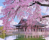  SEOUL – NAMI – EVERLAND 4N4Đ | BAY VIETNAM AIRLINES 