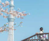  CUNG ĐƯỜNG VÀNG 6N5Đ  | BAY VIETNAM AIRLINES 