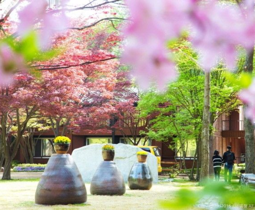  BUSAN – SEOUL – LOTTE WORLD 5N5Đ | BAY VIETJET AIR 