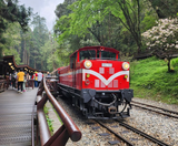  ĐÀI BẮC – ĐÀI TRUNG – NAM ĐẦU – GIA NGHĨA – A LÝ SƠN 5N5Đ  | BAY EVA AIR 