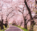  CUNG ĐƯỜNG VÀNG 6N5Đ  | BAY VIETNAM AIRLINES 