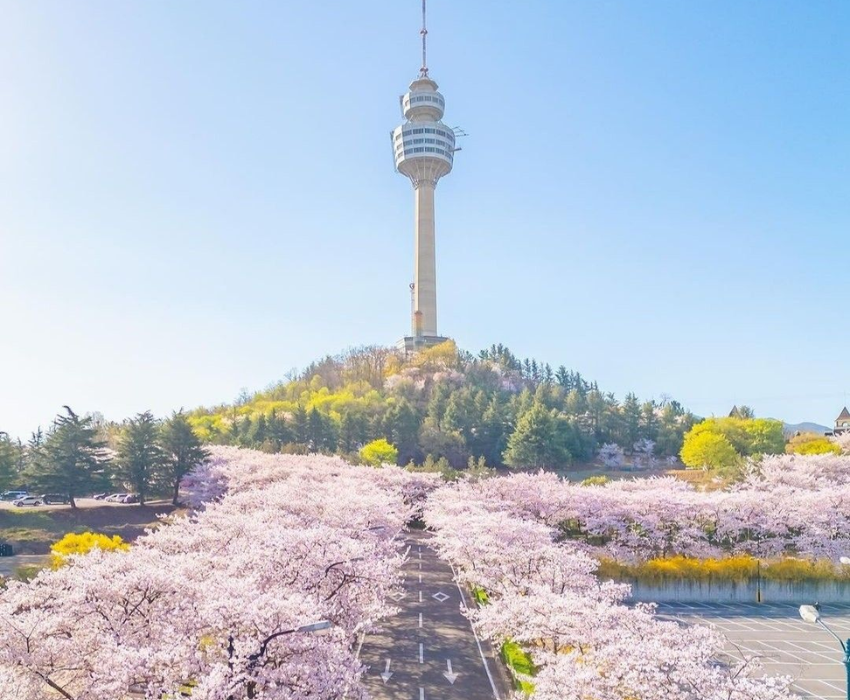  SHIRAKAWAGO – CUNG ĐƯỜNG VÀNG 6N5Đ  | BAY VIETNAM AIRLINES 