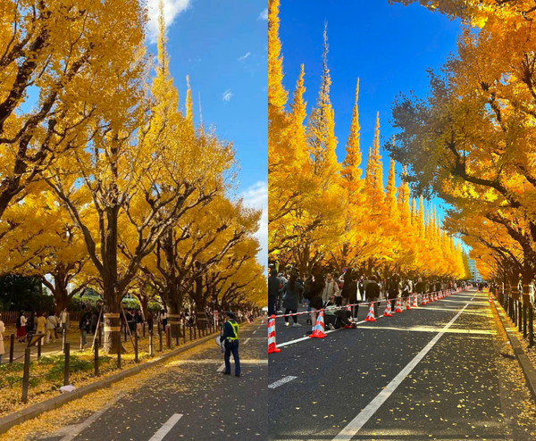  NAGOYA MONO: NAGOYA–HAKONE–FUJI MOUNT–TOKYO–NAGOYA 5N4Đ | BAY VIETNAM AIRLINES 