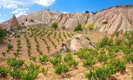  THỔ NHĨ KỲ: ISTANBUL – CANAKKALE – KUSADASI – PAMUKKALE – KONYA – CAPPADOCIA  7N6Đ | BAY TURKISH AIRLINES 