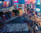  Kamogawa Seaworld - NARITA – TOKYO  – FUJI – YOKOHAMA - NARITA 5N4Đ | BAY VIETNAM AIRLINES 