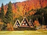  SHIRAKAWAGO –  CUNG ĐƯỜNG VÀNG 6N5Đ | BAY JAPAN AIRLINES 