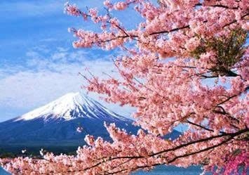  CUNG ĐƯỜNG VÀNG 6N5Đ | BAY JAPAN AIRLINES 