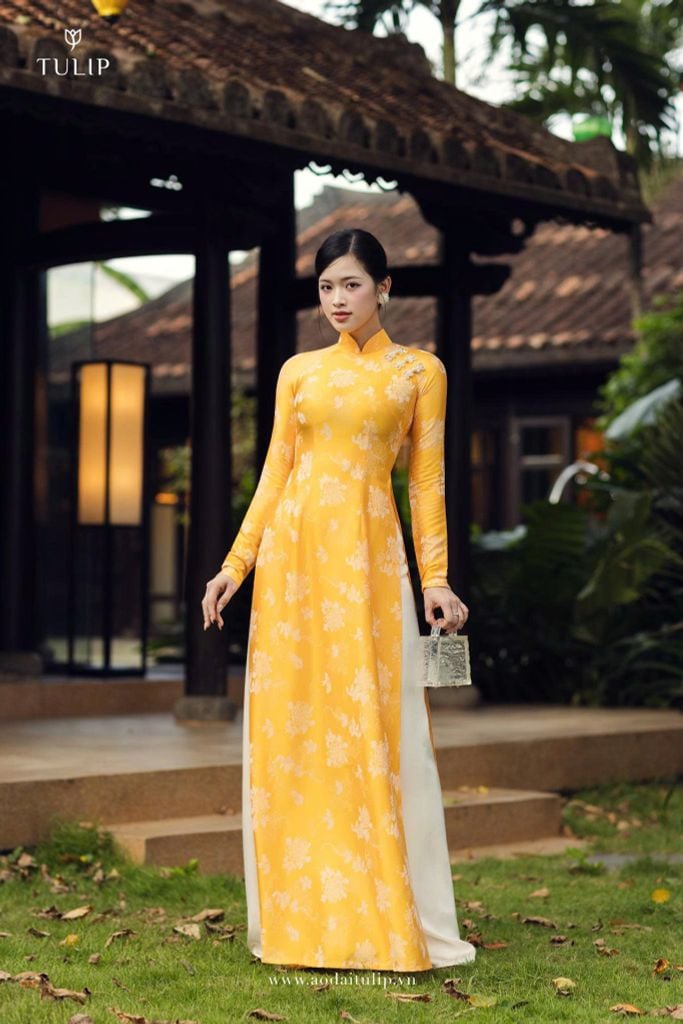 ÁO DÀI DAILY | HẠ YẾN