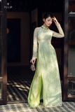 ÁO DÀI DAILY | HẠ THANH