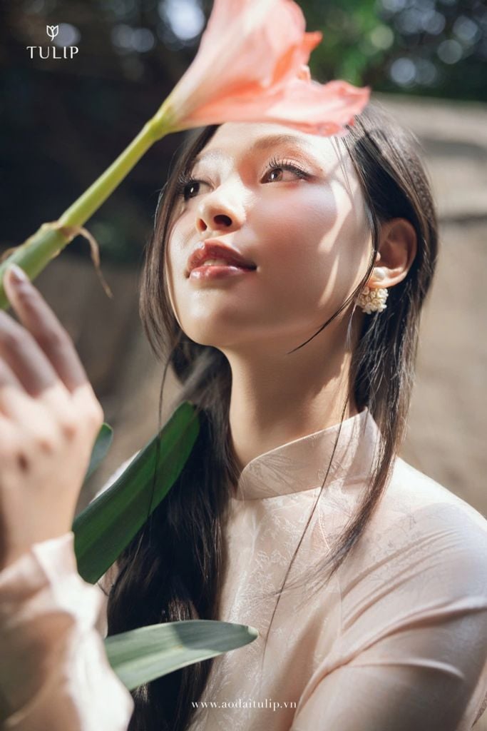 ÁO DÀI DAILY | HOÀNG HẠ