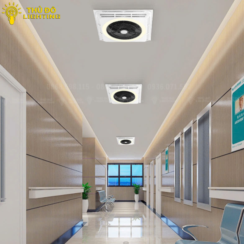  Quạt trần đèn vuông QT80 