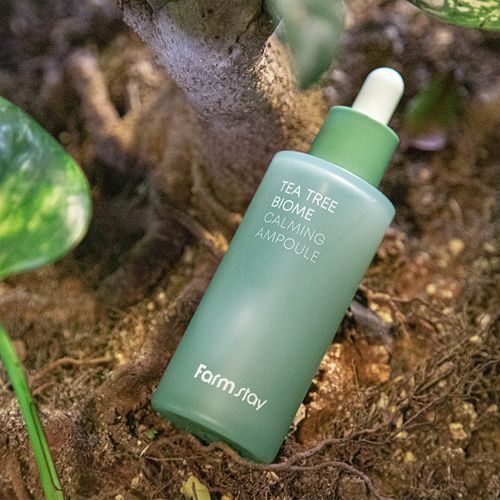  Tinh chất chống nhăn da chiết xuất Tràm Trà Farmstay Tea Tree Biome Calming Ampoule 