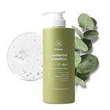  Dầu gội Tảo bẹ hương thông và khuynh điệp Laferme Laminaria Shampoo Pine & Eucalyptus 1000ml 