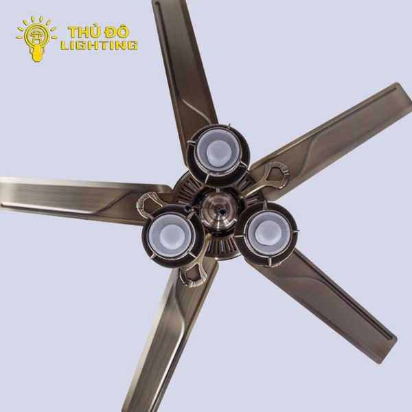  Quạt Trần Đèn Hiện Đại 5 Cánh QT60 