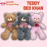  Gấu bông teddy đeo khăn gấu dâu dễ thương 