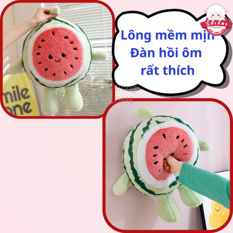  Gấu bông dưa hấu tròn vui ve SALOME 