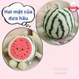  Gấu bông dưa hấu tròn vui ve SALOME 