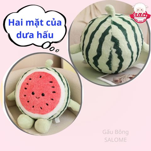  Gấu bông dưa hấu tròn vui ve SALOME 
