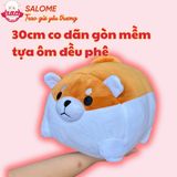  Gấu bông chó Corgi 