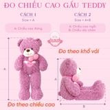  Gấu bông teddy ôm tim 
