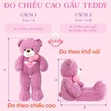  Gấu bông Teddy đủ mẫu đa dạng size 60cm tới 2m 