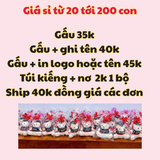  Gấu bông tốt nghiệp giá sỉ size 20cm dễ thương 