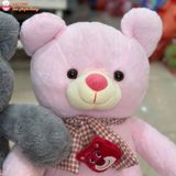  Gấu bông teddy đeo khăn gấu dâu dễ thương 
