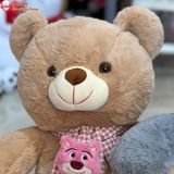  Gấu bông teddy đeo khăn gấu dâu dễ thương 