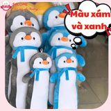  Gấu bông cánh cụt đeo khăn 